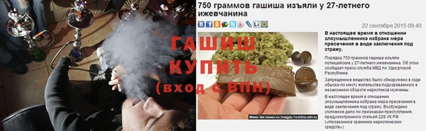 гашик Пестово