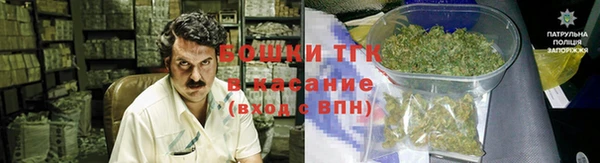 гашик Пестово