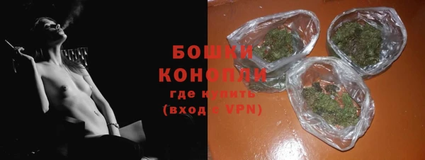 гашик Пестово