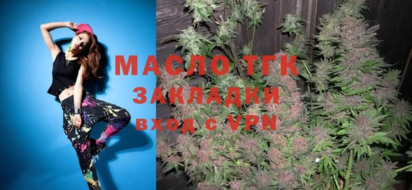 гашик Пестово
