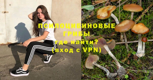 гашик Пестово