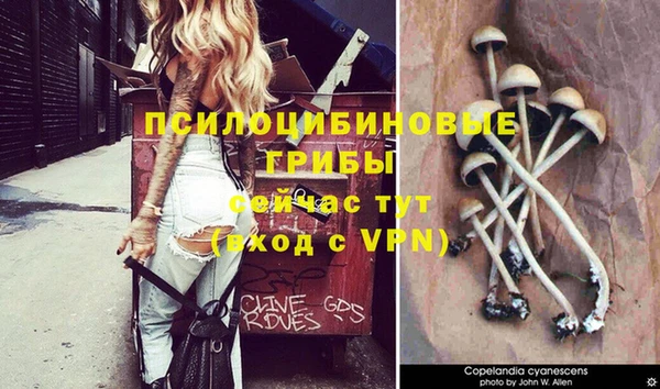 трава Остров