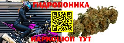 кокс Гагарин
