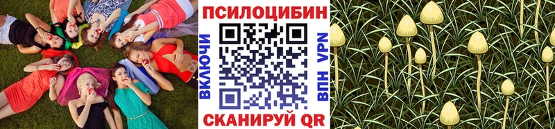 где продают наркотики  Калач-на-Дону  Галлюциногенные грибы MAGIC MUSHROOMS 