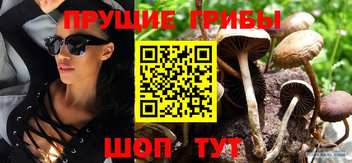 Калач-на-Дону  Псилоцибиновые грибы Psilocybine cubensis  купить закладку  Вход с VPN 