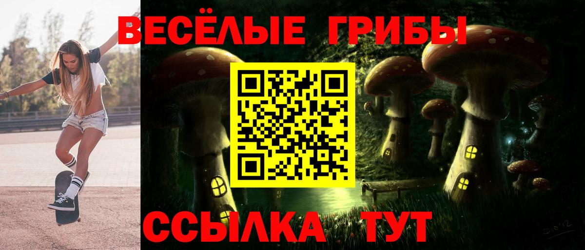 Галлюциногенные грибы MAGIC MUSHROOMS Калач-на-Дону