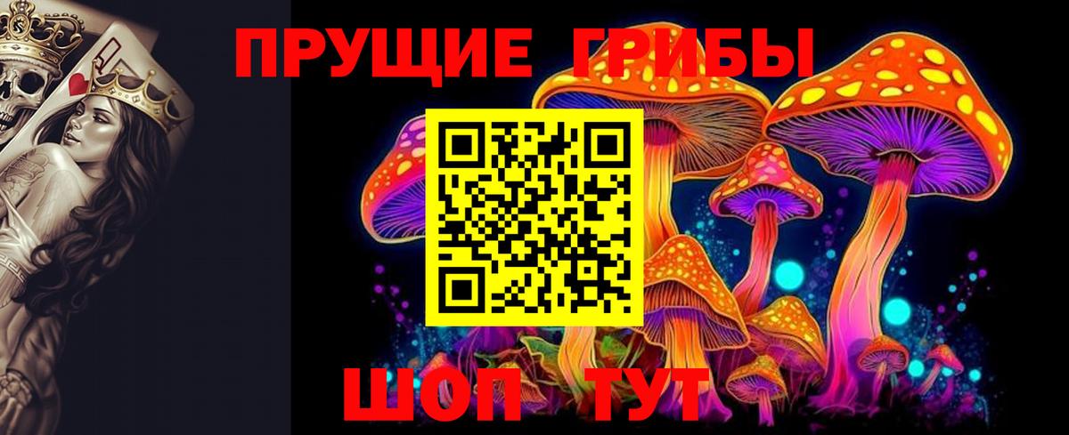 Галлюциногенные грибы прущие грибы Калач-на-Дону