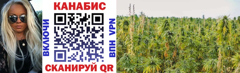 Марихуана Bruce Banner  Калач-на-Дону 